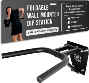 Valor Fitness Wall Mount Dip bars